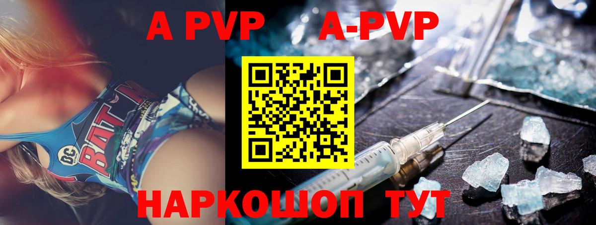 A PVP СК КРИС Кемерово