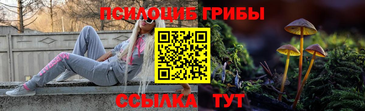 Кемерово  Псилоцибиновые грибы Cubensis  Вход с VPN 
